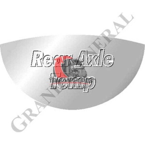 Накладка/эмблема "Rear Axel Temp" хром/металл INTER 9200/9400/9700/9800/9900, GG68673