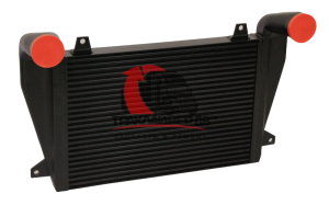 Интеркулер в сборе FLD, 812.46201TF Интеркулер в сборе FLD, 812.46201TF