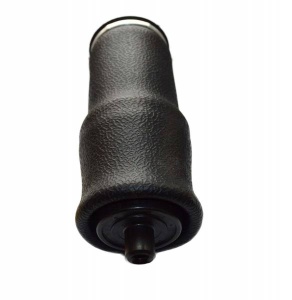 Подушка воздушная кабины KW T2000®, GYR 1S5 152