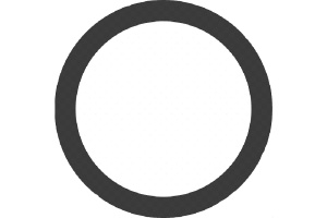 Кольцо уплотнительное демпфера топливного насоса (профиль квадрат) CUM M11/N14/ISX, M-151900 Кольцо уплотнительное демпфера топливного насоса (профиль квадрат) CUM M11/N14/ISX, M-151900