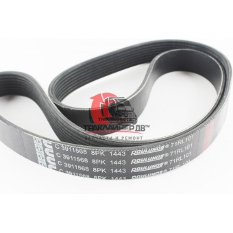 Ремень вентилятора L=1443mm/8PK INTER 9800 CUM M11/ISM, 3911568