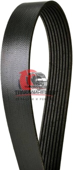 Ремень генератора L=980mm/8PK VOLVO VE D12, K080385/20430368/20430367/8PK0975