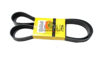 Ремень вентилятора/помпа L=1805mm/10PK CUM ISX, GT  4100710DF